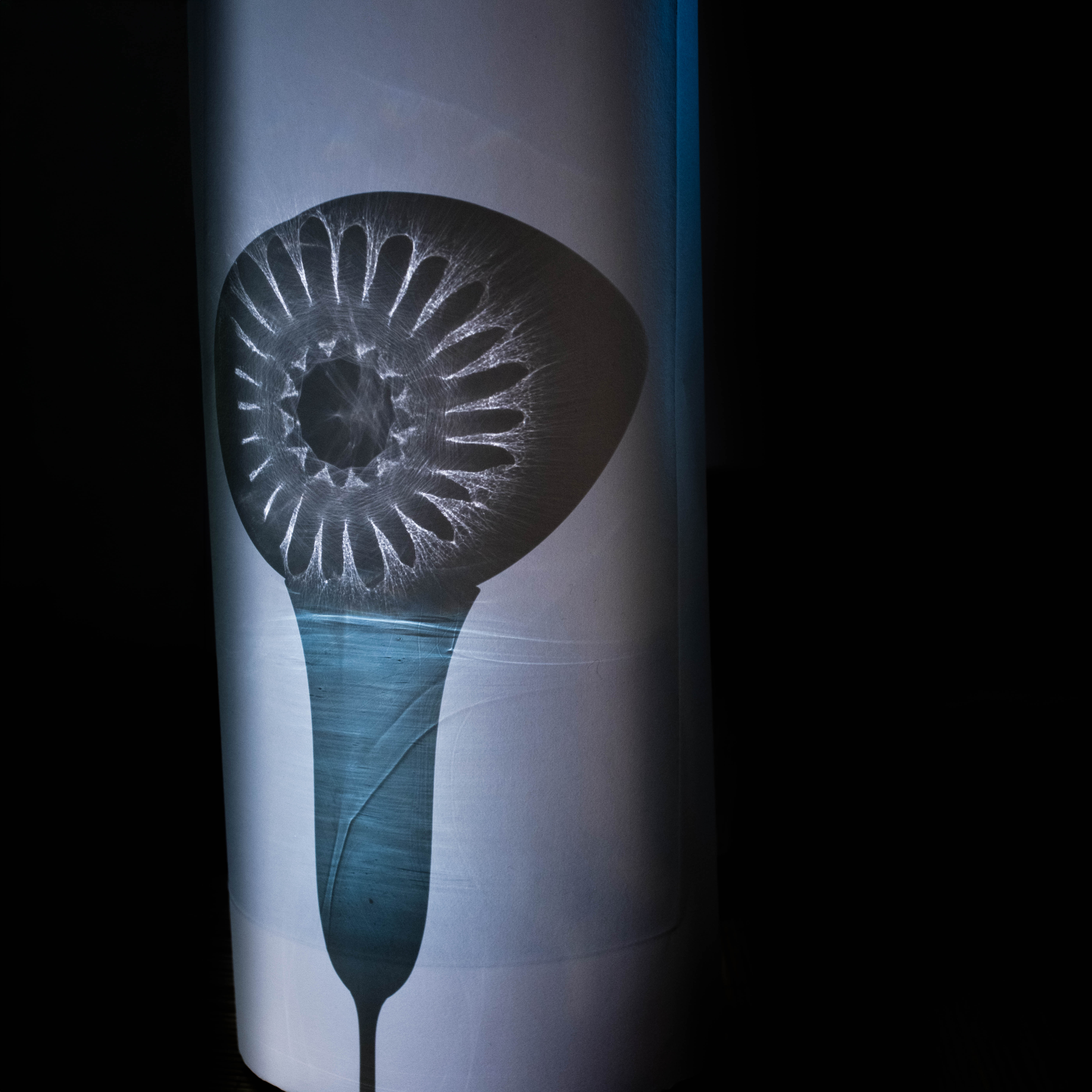 01 caustic cylinder