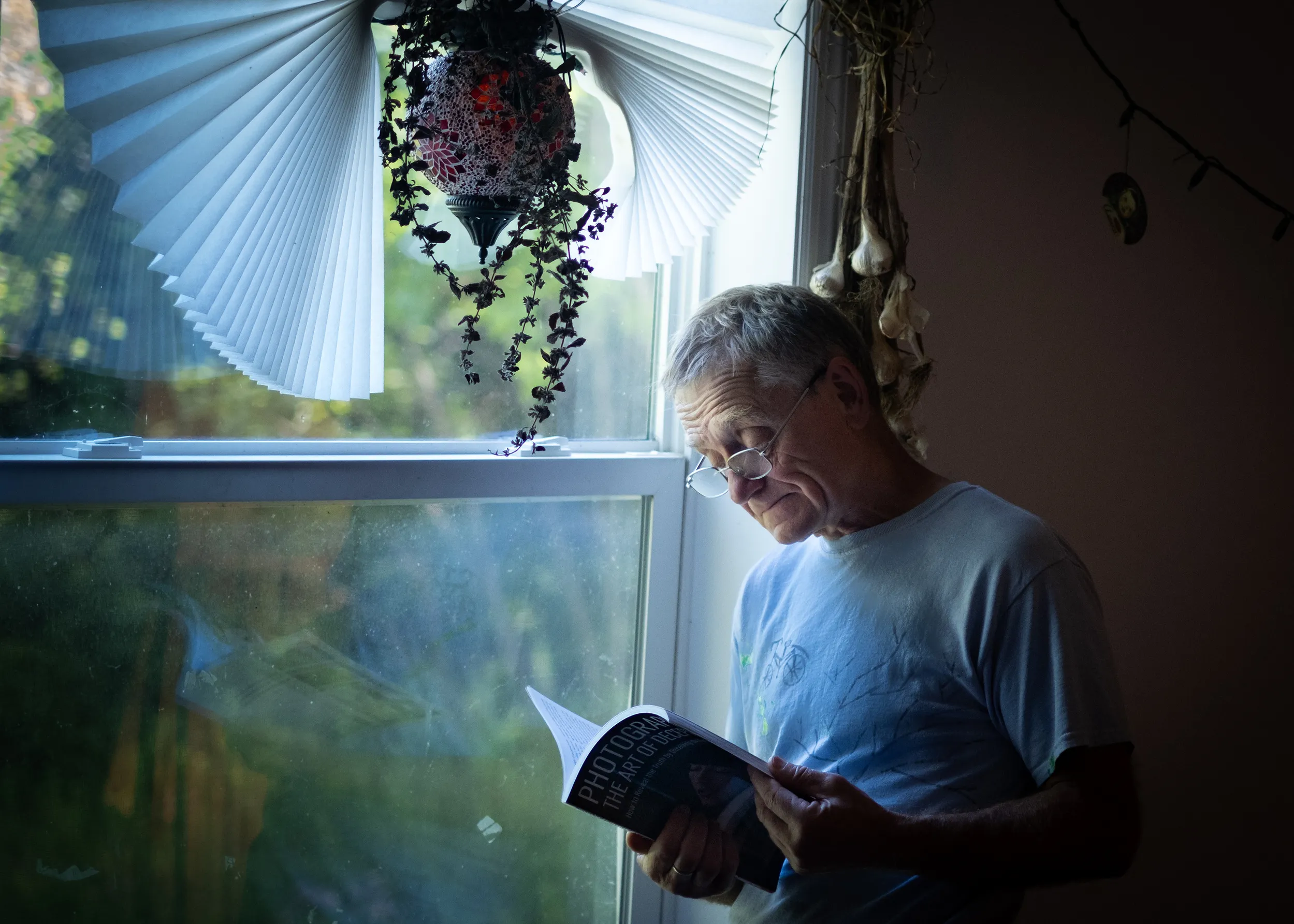 Man reading by a sunlit window at home