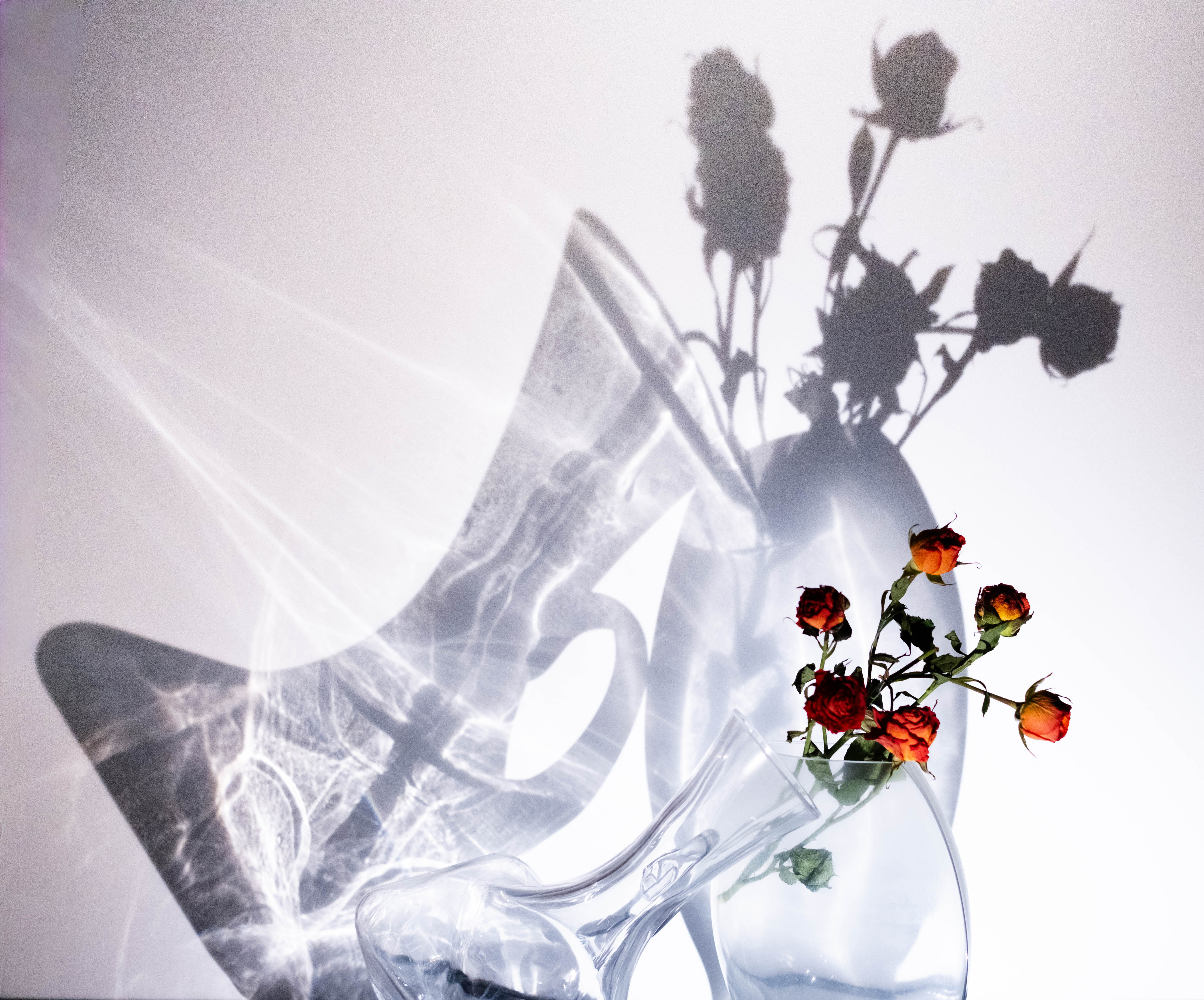 04 ice vessel roses