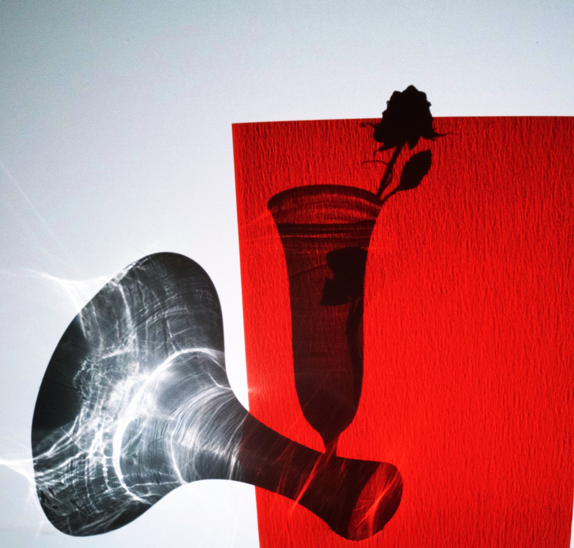 19 caustic vase red